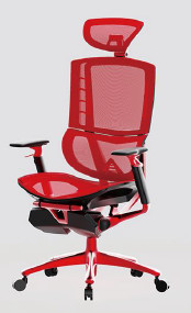 Bottom Ergonomic Mesh Office Chair Adjustable Arms With Lumbar Support